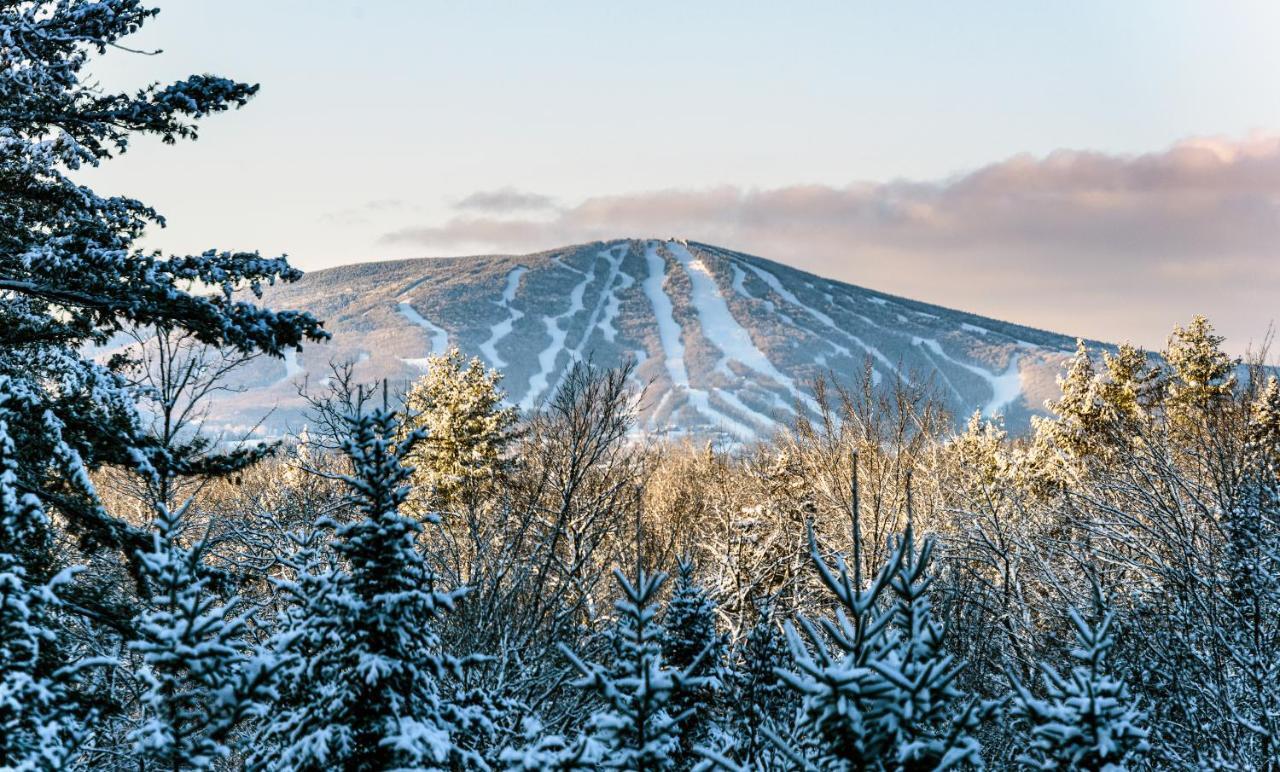 The Black Bear Lodge At Stratton Mountain Resort Exterior photo